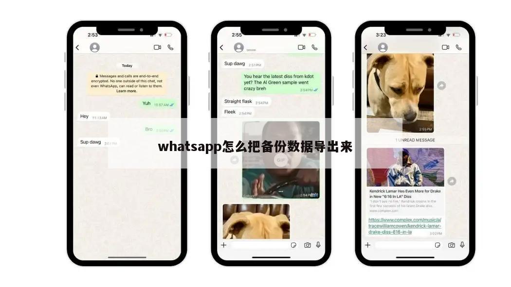 whatsapp怎么把备份数据导出来